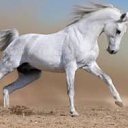 ���� Elmar, ����, 47 ��� - ��������� 2 ������� 2013 � ������ ���� ����������