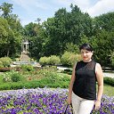 ���� ��������, ���������, 52 ���� - ��������� 29 ���� 2013 � ������ ���� ����������