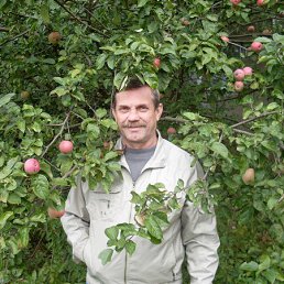 ��������, �����-���������, 71 ���