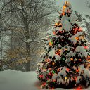 ���� �������, �������, 37 ��� - ��������� 23 ������ 2013