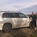 ���� ��������, �����������, 43 ���� - ��������� 16 ������ 2013 � ������ ���� ����������