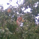 �������� �� ������� ���� ����������