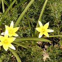  ok, --, 44  -  7  2010   