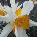 ���� Yiwangna***, ������ - ��������� 14 ��� 2013 � ������ ���������� ����� �������...�