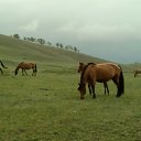 ���� ����, ������������, 71 ��� - ��������� 14 ������� 2011