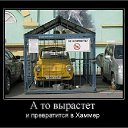���� ���, ���������, 37 ��� - ��������� 17 ������ 2013 � ������ ��������������