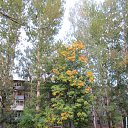 ���� ����, ������, 56 ��� - ��������� 26 �������� 2012 � ������ �������