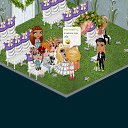  ,  -  25  2013   Tropikania