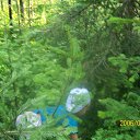 ���� ���, ����������, 61 ��� - ��������� 29 ���� 2012 � ������ ����� ��Ш���