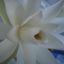 ���� ���, ������, 60 ��� - ��������� 28 �������� 2011