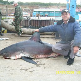 ���� ������, �����, 62 ���� - ��������� 4 ���� 2013