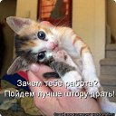 ���� �������, ������, 45 ��� - ��������� 10 ����� 2013 � ������ ���� ����������