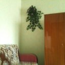 ���� �������, ����� - ��������� 8 ������ 2012 � ������ ���� ����������