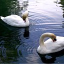 ���� ������, ����������, 49 ��� - ��������� 13 ��� 2012 � ������ ���� ����������