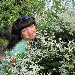 �������� ���� ����