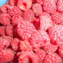 "������ - 2012" 18 ������� �� ������� ����� ��������