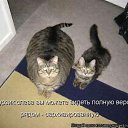 ���� Gnom, ���������, 39 ��� - ��������� 28 ������ 2010 � ������ �������� � ��������� ;-)�