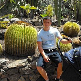 ���, �������, 43 ����