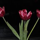 ���� �����, ������ - ��������� 20 ���� 2013 � ������ ���������.�