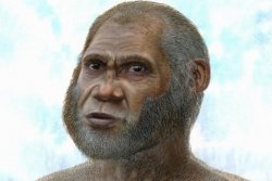 ���� ˸��, ������ - ��������� 23 ������ 2012