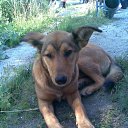 ���� �����, ������, 33 ���� - ��������� 1 ��� 2010 � ������ �����������