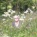 ���� ���������