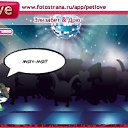���� ����, ��������, 23 ���� - ��������� 31 ��� 2011 � ������ �PetLove�