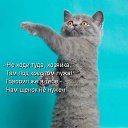 ���� ������� ( ������ �������...........), ��������, 53 ���� - ��������� 29 ������� 2009 � ������ ���� ��������