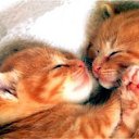 ���� �����, ������� - ��������� 24 �������� 2012