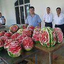 ���� �������, ������, 64 ���� - ��������� 28 ��� 2013 � ������ ������ ��������