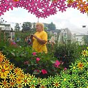  Elen, , 56  -  3  2010    2010