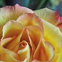 ���� ����� - ���������� ��������!!!, �����������, 56 ��� - ��������� 15 ������ 2010 � ������ ����ۻ