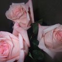 ���� Natalia, �������� - ��������� 6 ������� 2012 � ������ �������