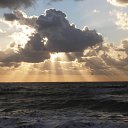  , , 66  -  29  2011   ,