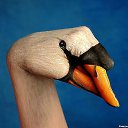 ���� ��@���, ��������� - ��������� 7 ������� 2011 � ������ ������-������........�