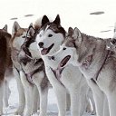 ���� "@����", �����-���������, 25 ��� - ��������� 6 ������� 2010 � ������ ��@��� �@��� �@��Ȼ