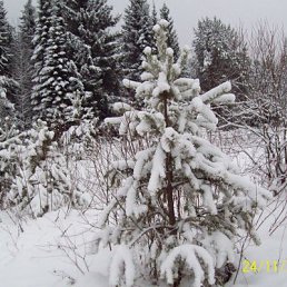 ���� ������, ����� - ��������� 14 ������ 2011