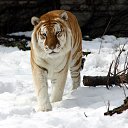   !,  -  27  2009     ...