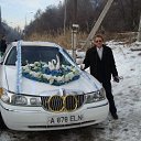 ���� ���������, ������, 66 ��� - ��������� 1 ���� 2013 � ������ ���� ����������