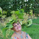 ���� �������, �����-���������, 71 ��� - ��������� 16 ������� 2012 � ������ ���� ��� ��