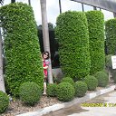 ���� �����, ����������, 60 ��� - ��������� 21 ������� 2013 � ������ �������� ������� 2013�
