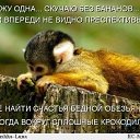 ���� ����, ������� - ��������� 7 ����� 2010 � ������ ���������....�