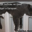 ���� �����, ������, 37 ��� - ��������� 11 ������� 2009 � ������ �������