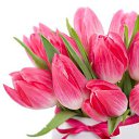 ���� �������, ������� - ��������� 28 �������� 2012 � ������ �������