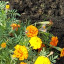 ���� ���������, ���������� - ��������� 22 ������� 2010 � ������ ������� � ��������...�