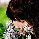 ���� �����, ������, 39 ��� - ��������� 25 ������ 2010 � ������ ���� ����������