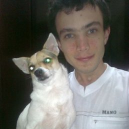 �������, 37 ���, ��������