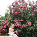 ������� ������ �� ������� ���� �����