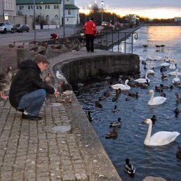 Arunas19, ���!, 57 ���