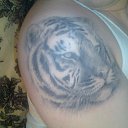 ���� �������, ���������, 48 ��� - ��������� 21 ������� 2012 � ������ �������